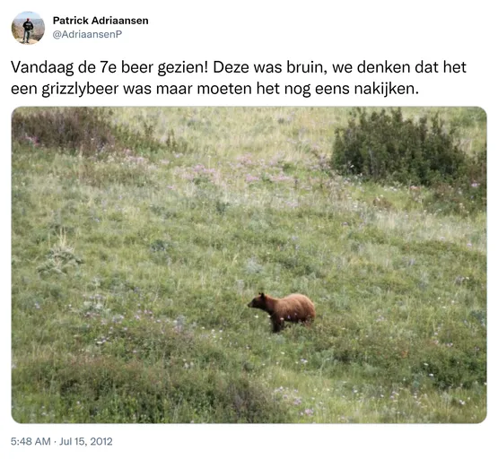 Vandaag de 7e beer gezien! Deze was bruin, we denken dat het een grizzlybeer was maar moeten het nog eens nakijken. http://t.co/avVneDor