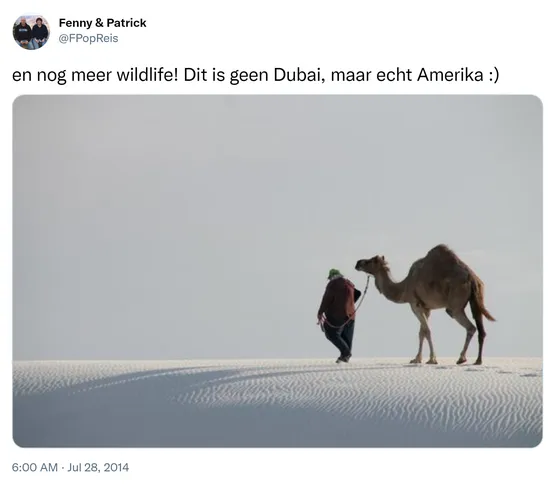 en nog meer wildlife! Dit is geen Dubai, maar echt Amerika :) http://t.co/DuqZhCSwNp 