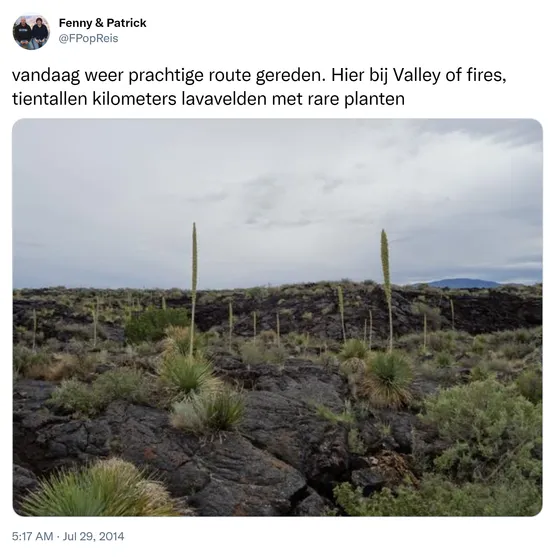 vandaag weer prachtige route gereden. Hier bij Valley of fires, tientallen kilometers lavavelden met rare planten http://t.co/YDrpQDQaW7
