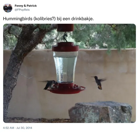 Hummingbirds (kolibries?) bij een drinkbakje. http://t.co/j1llvJv9s2 