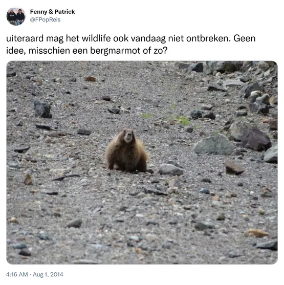 uiteraard mag het wildlife ook vandaag niet ontbreken. Geen idee, misschien een bergmarmot of zo? http://t.co/zL6mfi1Dth

