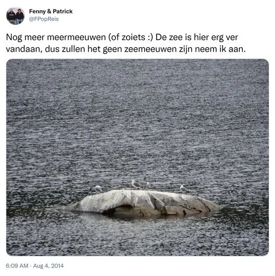 Nog meer meermeeuwen (of zoiets :) De zee is hier erg ver vandaan, dus zullen het geen zeemeeuwen zijn neem ik aan. http://t.co/u2fh9QosUl
