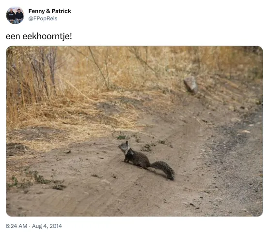 een eekhoorntje! http://t.co/TjmAAmtBD8
