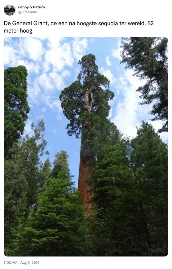 De General Grant, de een na hoogste sequoia ter wereld, 82 meter hoog. http://t.co/8gvCvPjENq
