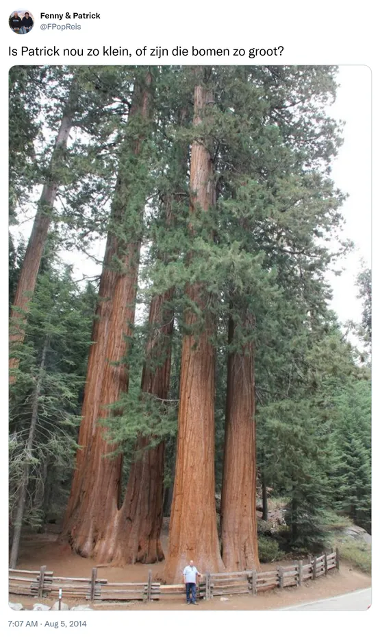 Is Patrick nou zo klein, of zijn die bomen zo groot? http://t.co/YiY0vXpEBq
