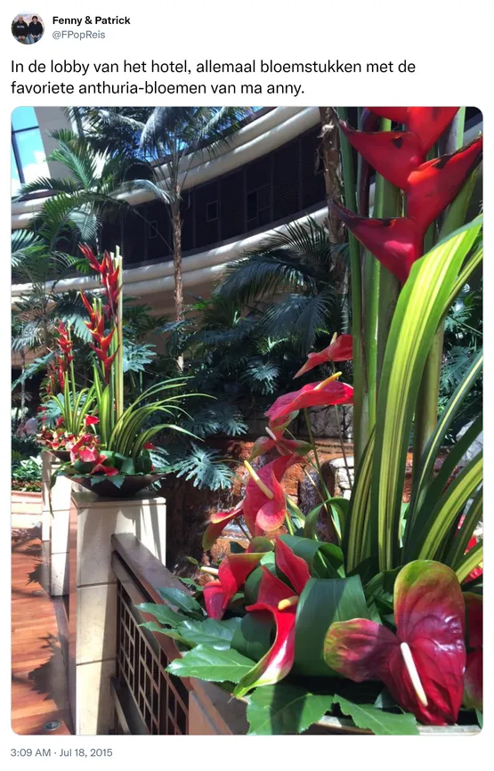 In de lobby van het hotel, allemaal bloemstukken met de favoriete anthuria-bloemen van ma anny. http://t.co/f893D148Ce
