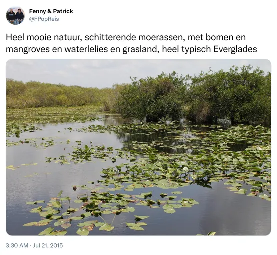 Heel mooie natuur, schitterende moerassen, met bomen en mangroves en waterlelies en grasland, heel typisch Everglades http://t.co/pRBW47gXMu 