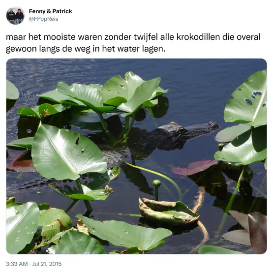 maar het mooiste waren zonder twijfel alle krokodillen die overal gewoon langs de weg in het water lagen. http://t.co/YnyqMJ8ELi