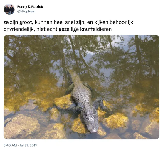ze zijn groot, kunnen heel snel zijn, en kijken behoorlijk onvriendelijk, niet echt gezellige knuffeldieren http://t.co/jGA0QrI0vJ