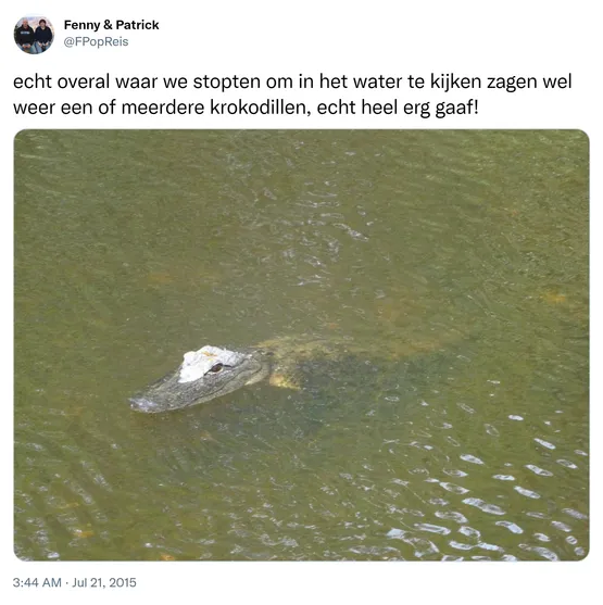 echt overal waar we stopten om in het water te kijken zagen wel weer een of meerdere krokodillen, echt heel erg gaaf! http://t.co/X2VZcmjmOE 