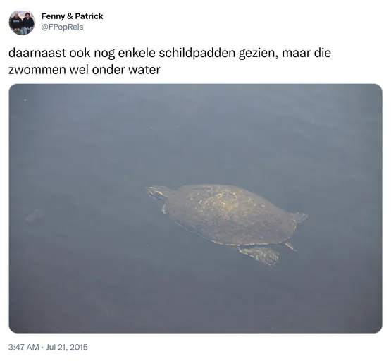 daarnaast ook nog enkele schildpadden gezien, maar die zwommen wel onder water http://t.co/VJeo1lNXqE