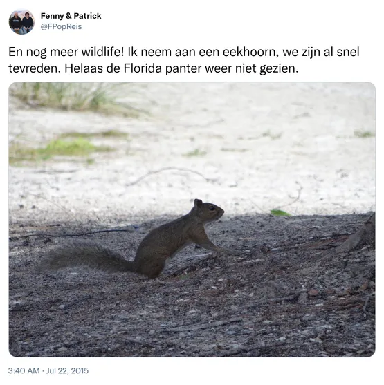 En nog meer wildlife! Ik neem aan een eekhoorn, we zijn al snel tevreden. Helaas de Florida panter weer niet gezien. http://t.co/ChTLOiqXAG 