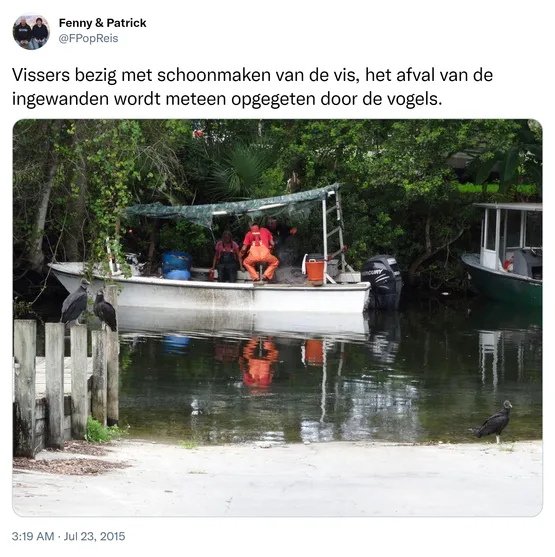 Vissers bezig met schoonmaken van de vis, het afval van de ingewanden wordt meteen opgegeten door de vogels. http://t.co/Wa9Nuj8MIi