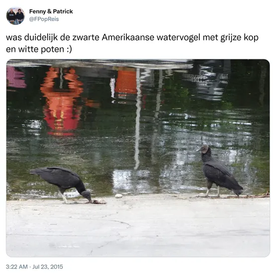 was duidelijk de zwarte Amerikaanse watervogel met grijze kop en witte poten :) http://t.co/1imWRlReNy