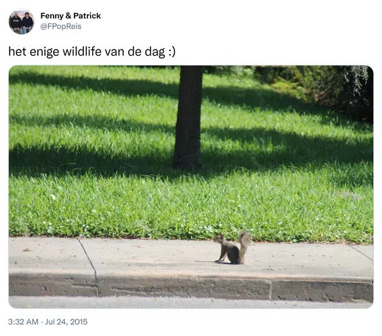 het enige wildlife van de dag :) http://t.co/nioToun1jR
