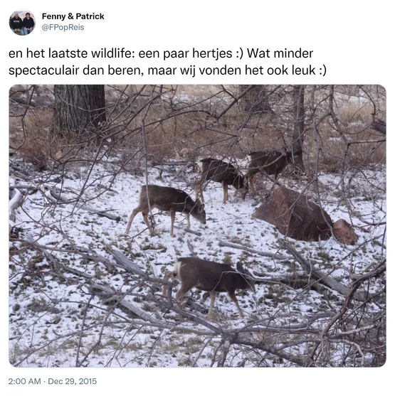 en het laatste wildlife: een paar hertjes :) Wat minder spectaculair dan beren, maar wij vonden het ook leuk :) https://t.co/et7KABjm3o 