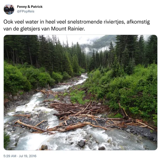 Ook veel water in heel veel snelstromende riviertjes, afkomstig van de gletsjers van Mount Rainier. https://t.co/AX78eiMMba
