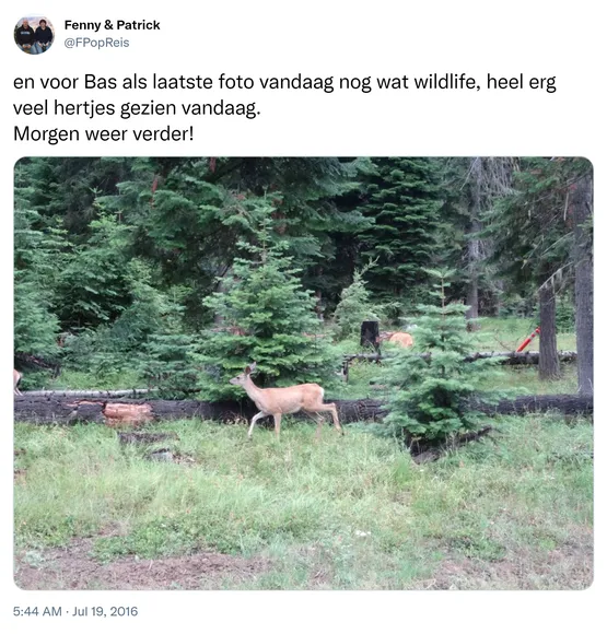 en voor Bas als laatste foto vandaag nog wat wildlife, heel erg veel hertjes gezien vandaag. Morgen weer verder! https://t.co/4uoNaFbE9p 