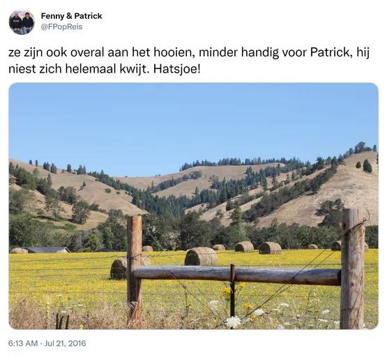 ze zijn ook overal aan het hooien, minder handig voor Patrick, hij niest zich helemaal kwijt. Hatsjoe! https://t.co/DnfK6CgmAt 