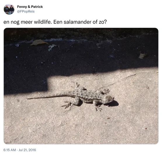 en nog meer wildlife. Een salamander of zo? https://t.co/ChHXpDQzrO