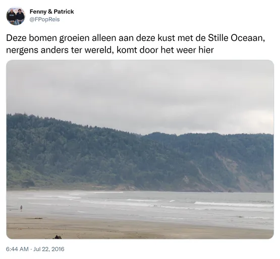 Deze bomen groeien alleen aan deze kust met de Stille Oceaan, nergens anders ter wereld, komt door het weer hier https://t.co/yzl5VV8lvl 