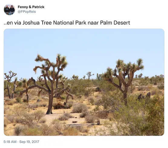 ..en via Joshua Tree National Park naar Palm Desert https://t.co/Q7njmCBTHq
