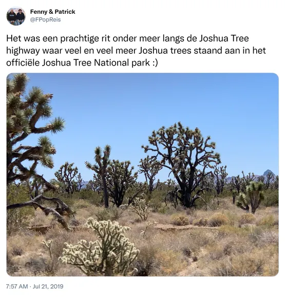 Het was een prachtige rit onder meer langs de Joshua Tree highway waar veel en veel meer Joshua trees staand aan in het officiële Joshua Tree National park :) https://t.co/fcvXs7LrSc 