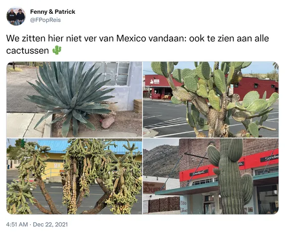 We zitten hier niet ver van Mexico vandaan: ook te zien aan alle cactussen 🌵 https://t.co/2S0B0bE29Z