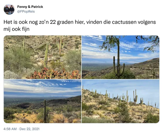 Het is ook nog zo’n 22 graden hier, vinden die cactussen volgens mij ook fijn https://t.co/9GVqxzt1vn