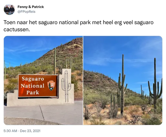 Toen naar het saguaro national park met heel erg veel saguaro cactussen. https://t.co/43teKfzzcd
