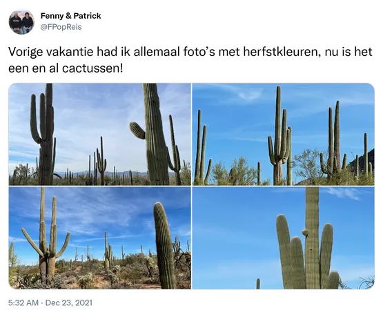 Vorige vakantie had ik allemaal foto’s met herfstkleuren, nu is het een en al cactussen! https://t.co/Z4WMhL4ZLR