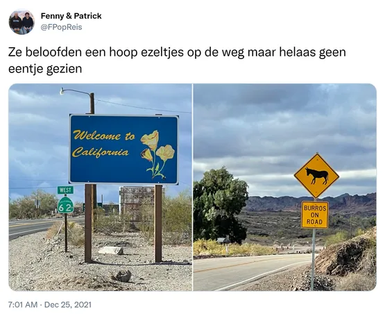 Ze beloofden een hoop ezeltjes op de weg maar helaas geen eentje gezien https://t.co/ceR9wJw1z0
