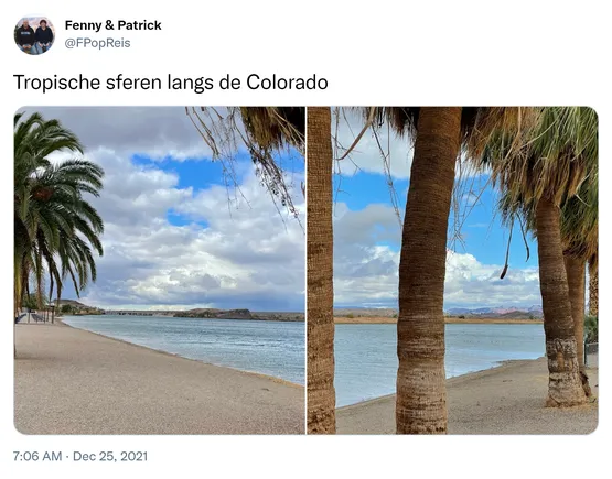 Tropische sferen langs de Colorado https://t.co/aelxDuphXe
