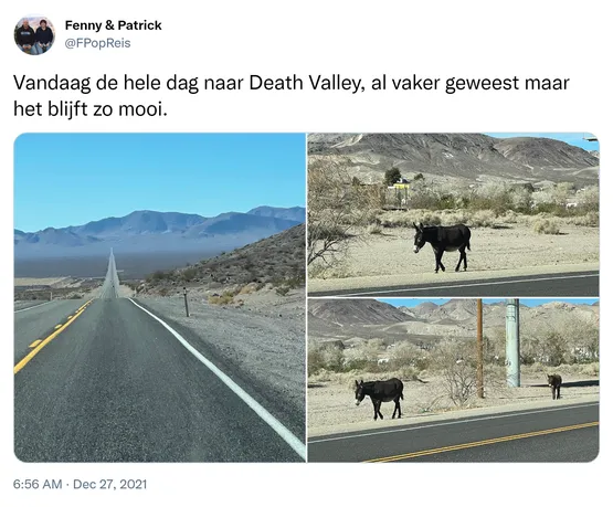Vandaag de hele dag naar Death Valley, al vaker geweest maar het blijft zo mooi. https://t.co/RsUcXVxs8k
