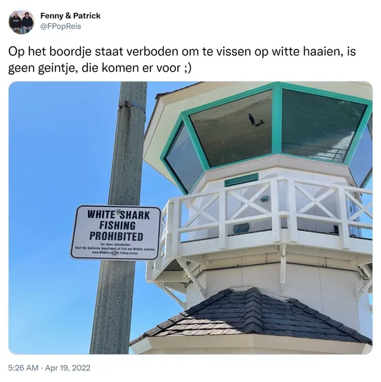 Op het boordje staat verboden om te vissen op witte haaien, is geen geintje, die komen er voor ;) https://t.co/4xrH2RBOzC
