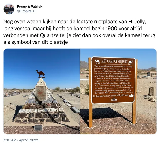 Nog even wezen kijken naar de laatste rustplaats van Hi Jolly, lang verhaal maar hij heeft de kameel begin 1900 voor altijd verbonden met Quartzsite, je ziet dan ook overal de kameel terug als symbool van dit plaatsje https://t.co/EbkwXwGu06
