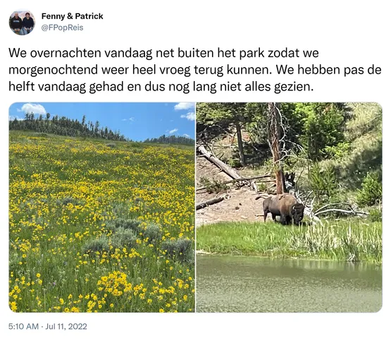 We overnachten vandaag net buiten het park zodat we morgenochtend weer heel vroeg terug kunnen. We hebben pas de helft vandaag gehad en dus nog lang niet alles gezien. https://t.co/XQzYuC1HqO
