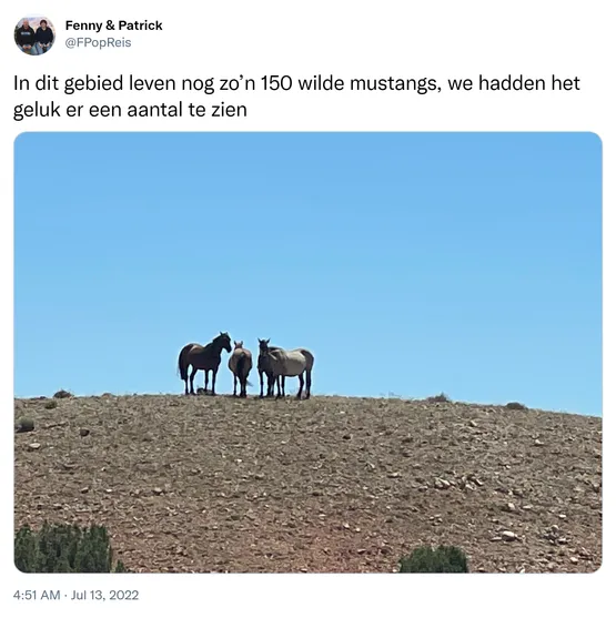 In dit gebied leven nog zo’n 150 wilde mustangs, we hadden het geluk er een aantal te zien https://t.co/oeFM0lxSVC 