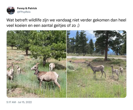 Wat betreft wildlife zijn we vandaag niet verder gekomen dan heel veel koeien en een aantal geitjes of zo ;) https://t.co/B5AAbKXuAC 