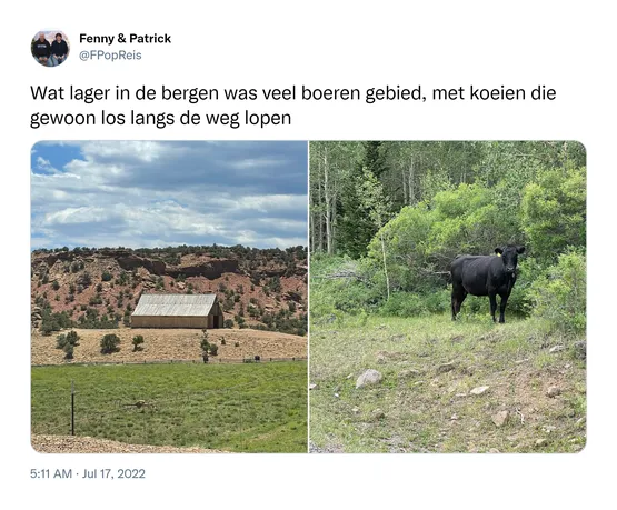 Wat lager in de bergen was veel boeren gebied, met koeien die gewoon los langs de weg lopen https://t.co/bQ6J0QHjFD 