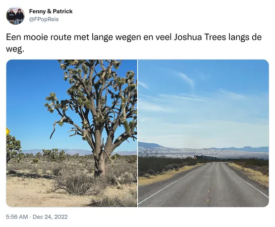 Een mooie route met lange wegen en veel Joshua Trees langs de weg. https://t.co/CtvL4ER3Fb 