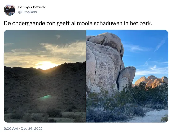 De ondergaande zon geeft al mooie schaduwen in het park. https://t.co/kJtRQ4cNHa
