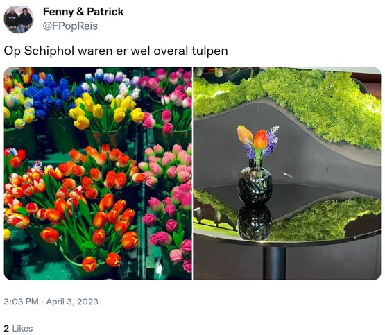Op Schiphol waren er wel overal tulpen https://t.co/3oNqPfMoP5 