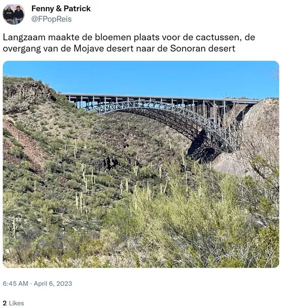 Langzaam maakte de bloemen plaats voor de cactussen, de overgang van de Mojave desert naar de Sonoran desert https://t.co/6nDoQar8aS 