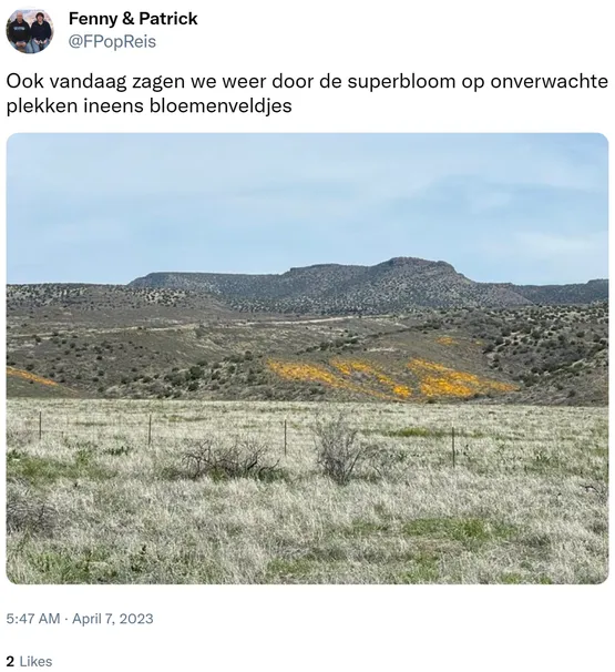 Ook vandaag zagen we weer door de superbloom op onverwachte plekken ineens bloemenveldjes https://t.co/XR56maCmaD 