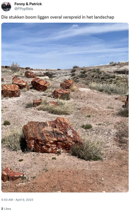 Die stukken boom liggen overal verspreid in het landschap https://t.co/QD5GAbjbtp 