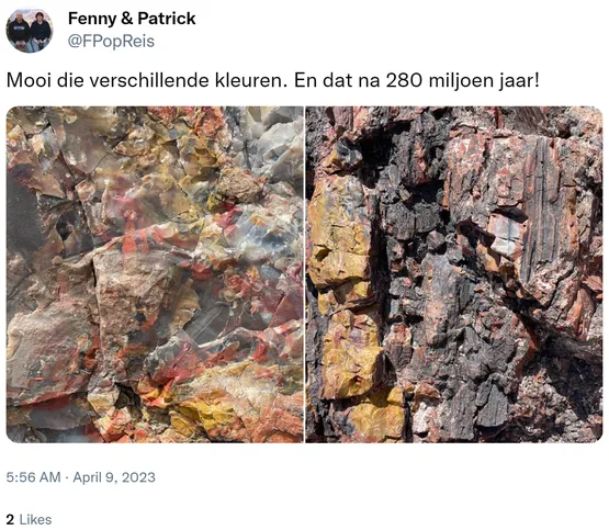 Mooi die verschillende kleuren. En dat na 280 miljoen jaar! https://t.co/kAvIJYcuji 