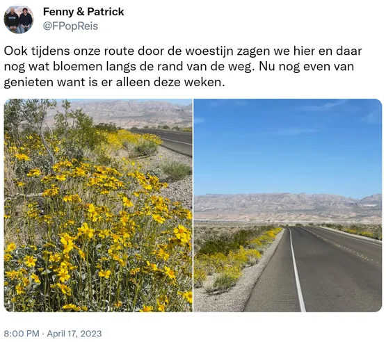 Ook tijdens onze route door de woestijn zagen we hier en daar nog wat bloemen langs de rand van de weg. Nu nog even van genieten want is er alleen deze weken. https://t.co/ohWP3Pbe3y
